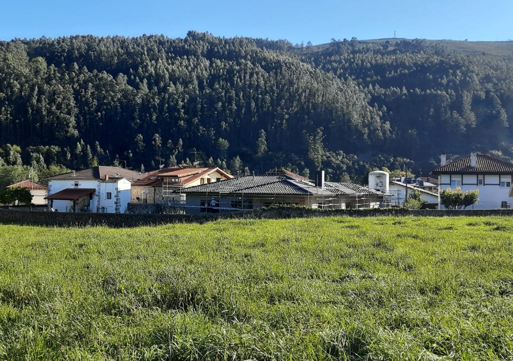 otañes4